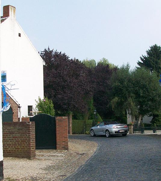 Namiddagrit, brengt ons terug naar Belgisch Limburg (19).JPG